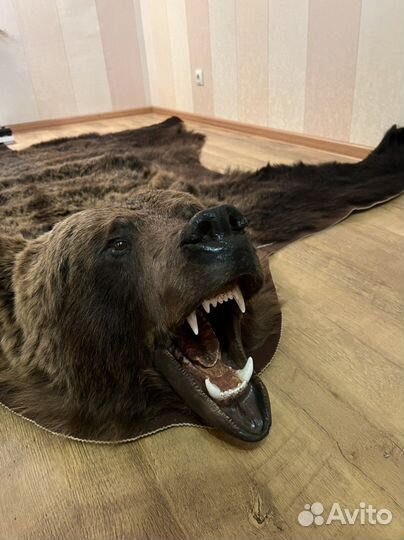 Шкура медведя имитация