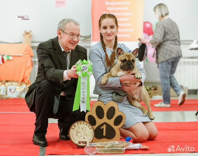 Хендлер Новосибирск