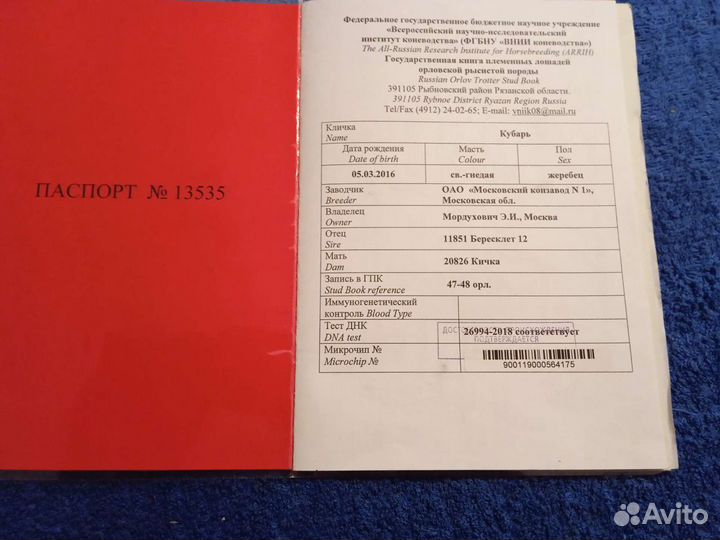 Случка Жеребец орловский рысак