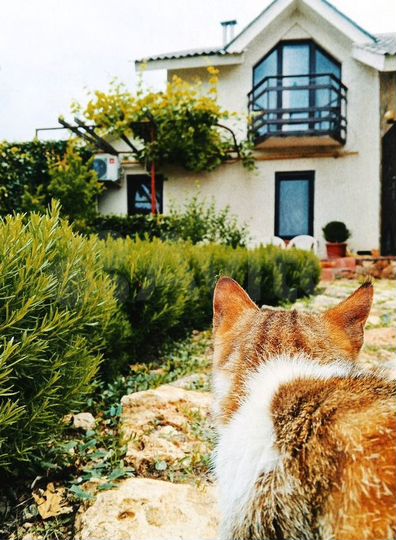 Комната 15 м², 1/2 эт.