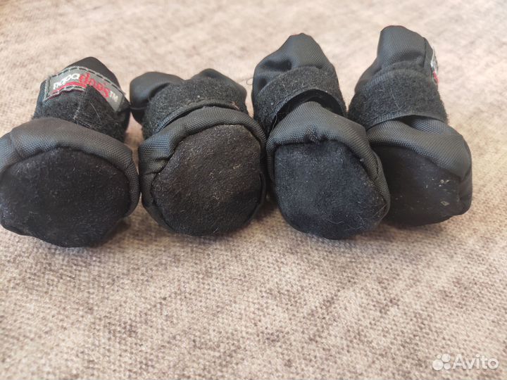 Ботинки для собак мелких пород