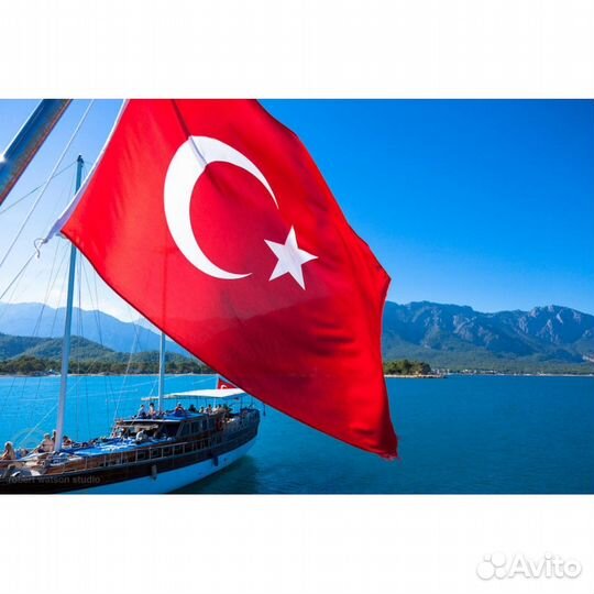 Турецкий язык