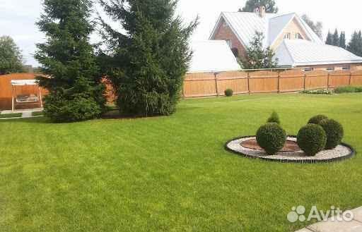 Укладка и продажа рулонного газона