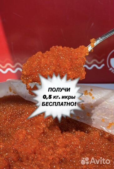 Красная икра горбуши