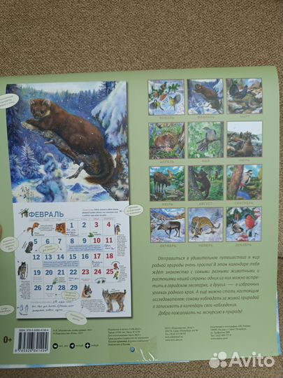 Настенный календарь родной природы 2024 Мошинская
