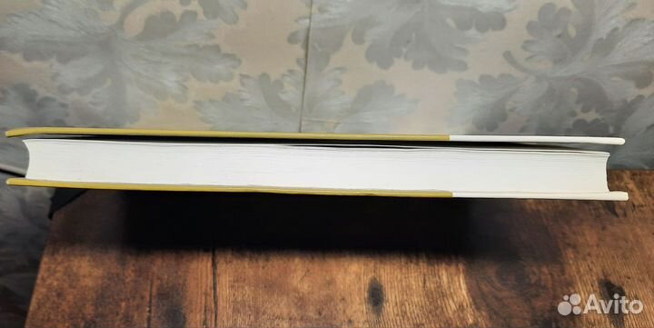 Современная западная философия Энциклопедический с