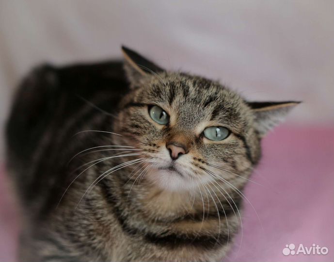 Подросток девочка 6 месяцев