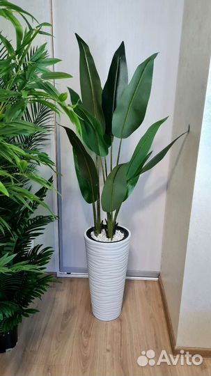 Искусственное дерево, стрелиция