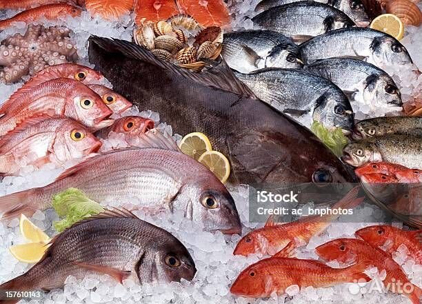 Рыба свежемороженая