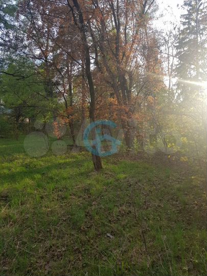 Участок 5 сот. (ИЖС)
