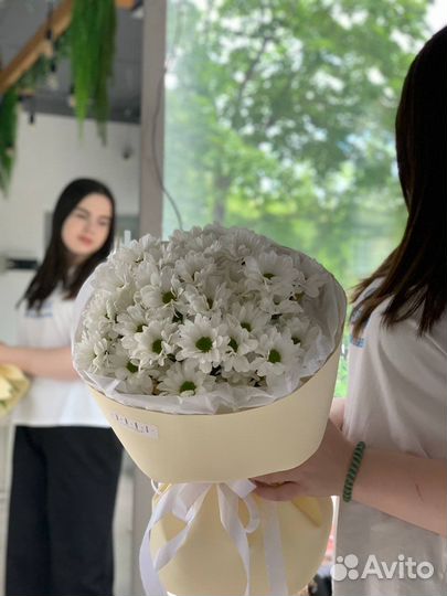 Хризантема