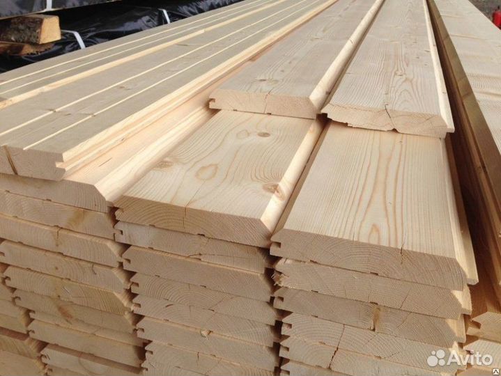 Евровагока (сосна)