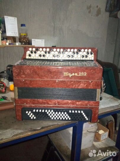 Баян Тула 202