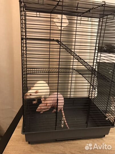 Клетка для грызунов