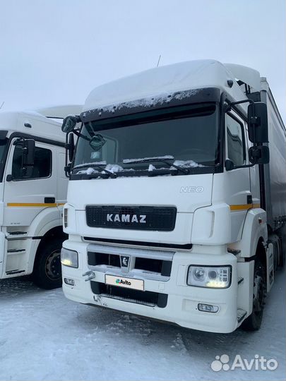 КамАЗ 5490-DC, 2019