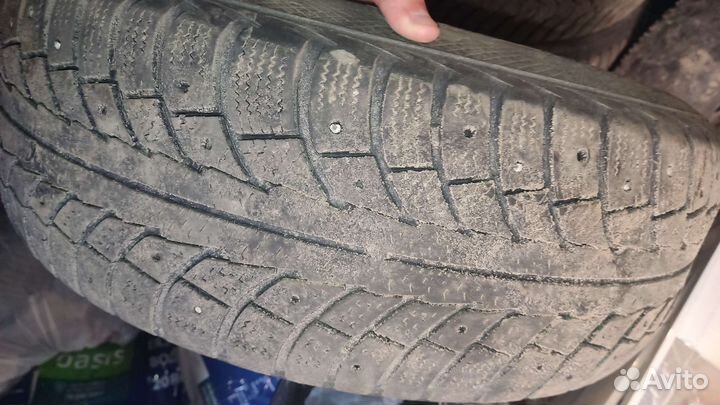 Gislaved Nord Frost 5 195/65 R15