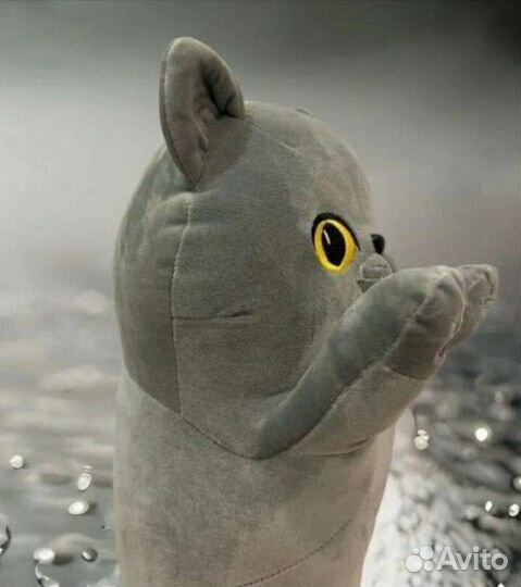 Кот батон британец