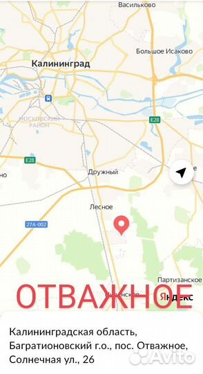 Голубика блюкроп спартан пуру