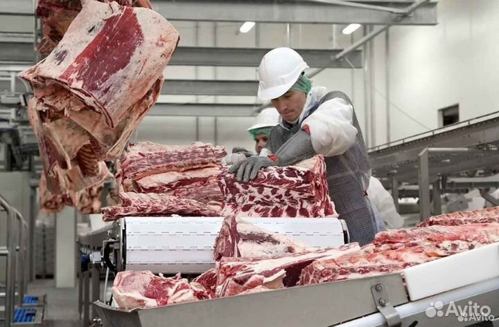 Ищу инвестора в завод, доход 26128 в мес