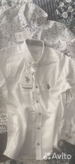 Рубашка us polo оригинал