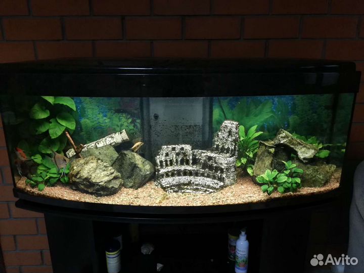 Оформление, обслуживание и спасение аквариумов