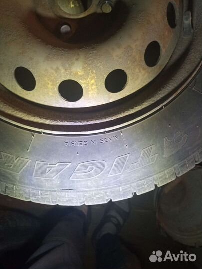 R15 Tigar Winter 185/65, PCD 4x100 DIA 55