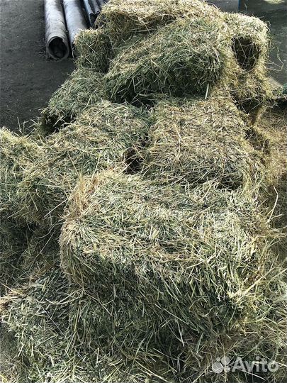 Сено в тюках