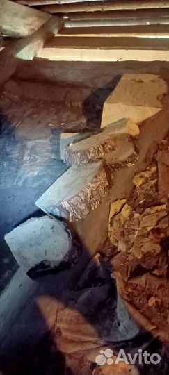 Сувель березовый