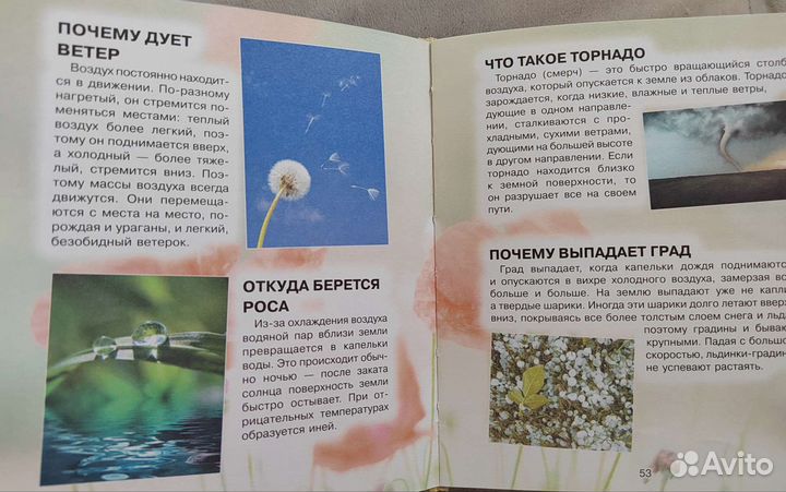 Что Зачем Почему Первая книга любознательных