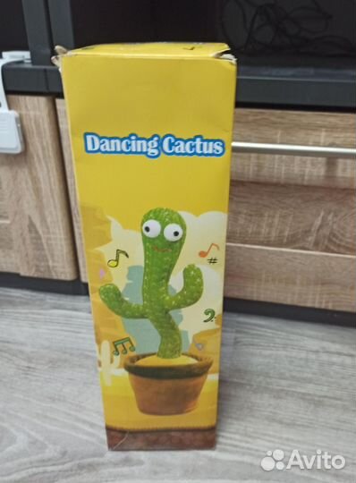 Кактус танцующий