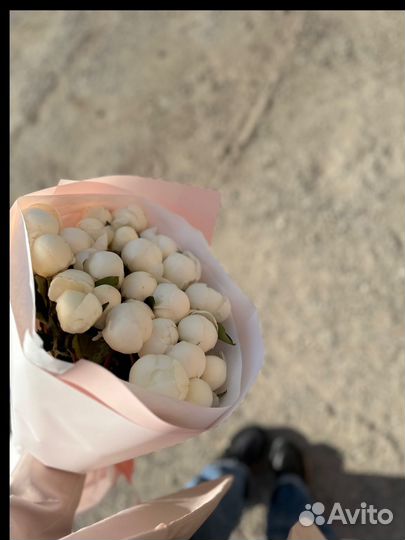 Пионы букет