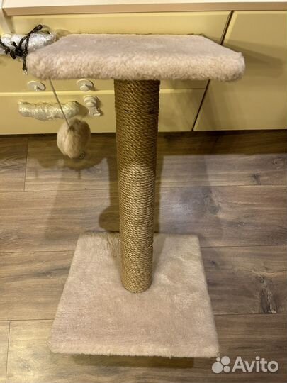 Когтеточка новая