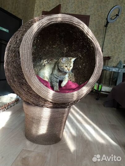 Домик лежанка для кошки