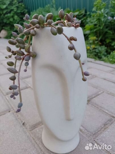 Крестовники