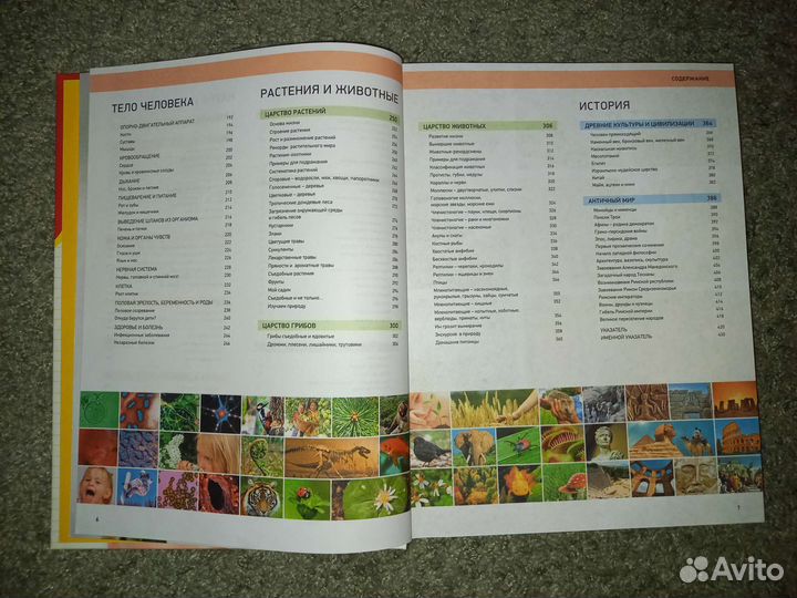 Большая школьная энциклопедия