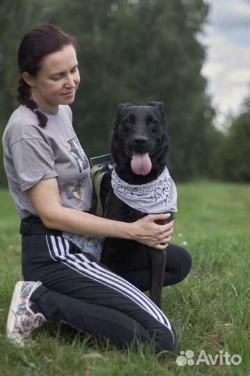 Красавец Лео