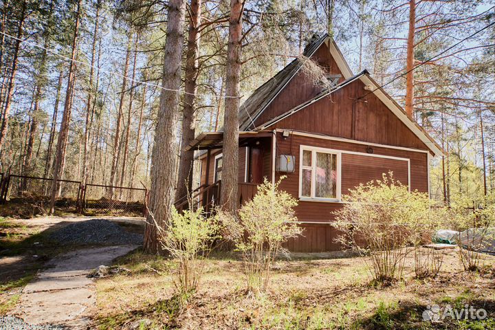 Отдых в домиках на берегу озера в Карелии