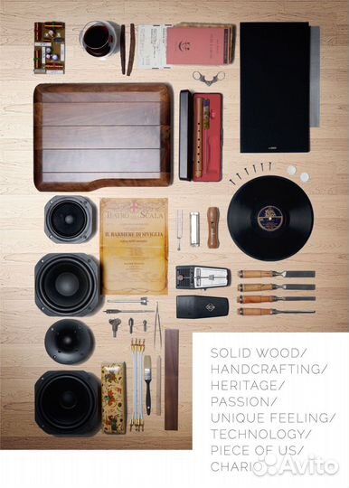 Chario constellation lynx mkii в рассрочку