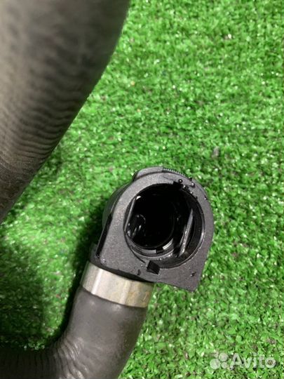 Патрубок радиатора Bmw 1 E87 N52B30AF 2006