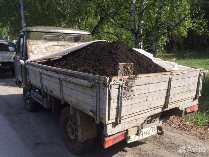 Дрова березовые сухие сырые
