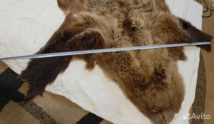 Настенный или напольный ковер