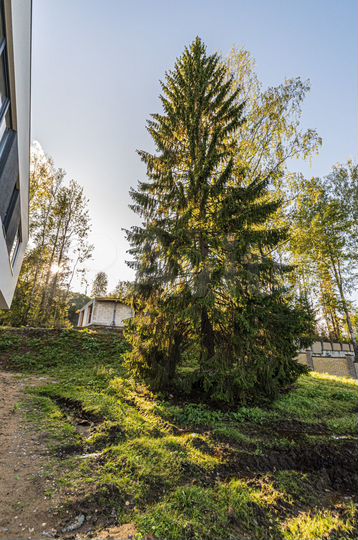 Дом 257,4 м² на участке 9,5 сот.