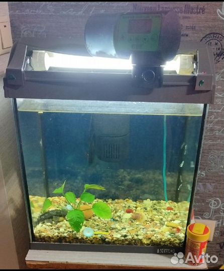 Аквариум Тетra б/у