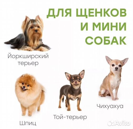 Лоток для кошек или собак