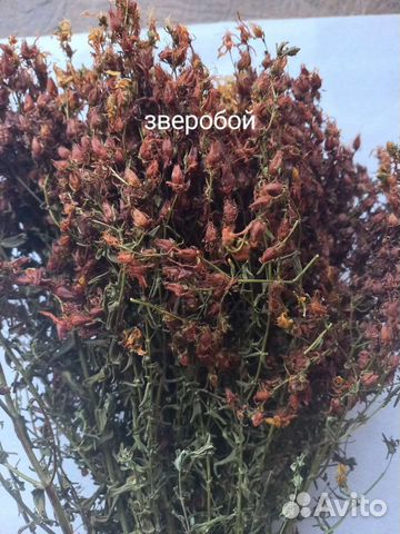 Зверобой в пучках(сухой), есть еще травы в наличии