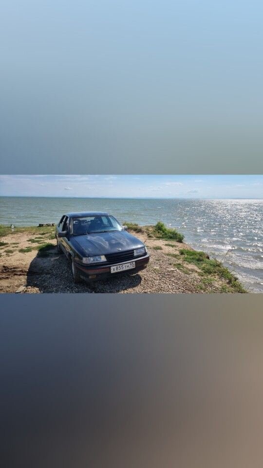 Opel Vectra: фото владельца