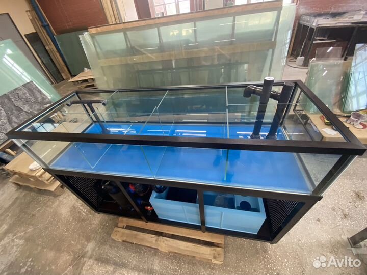 Аквариум для морепродуктов краба устриц гребешка