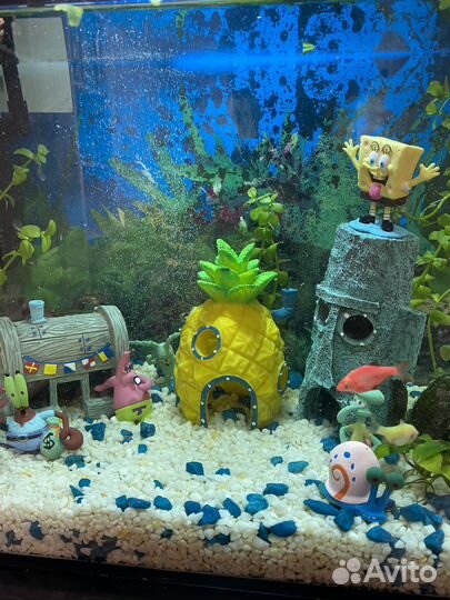 Аквариум на 25 л + декор Спанч Боб