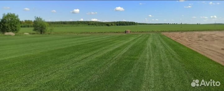 Газон рулонный Green Plus