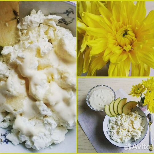 Молочные продукты домашние.Молоко,сметана, творог